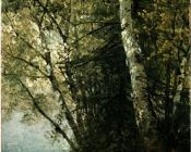 Study Of Beeches - 约翰·冯检基·肯西特